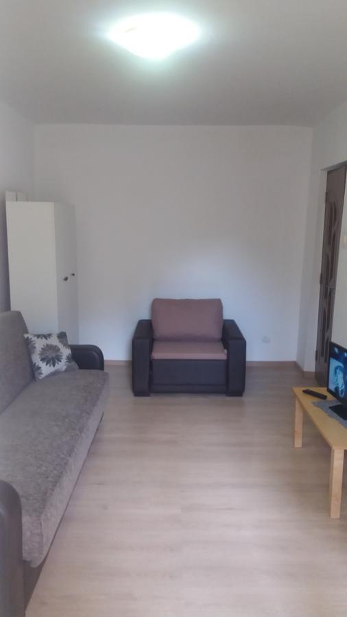 Studio Cora Apartment Orşova Екстериор снимка