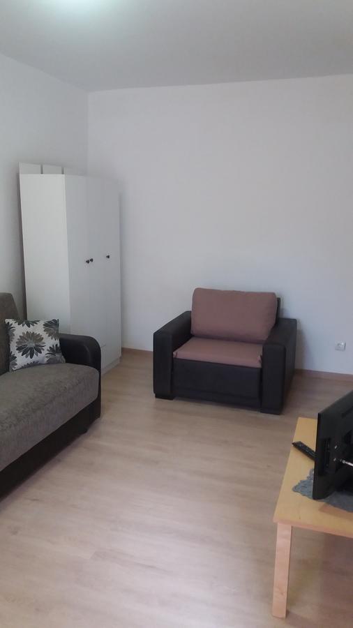 Studio Cora Apartment Orşova Екстериор снимка